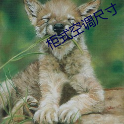 柜式空调尺寸