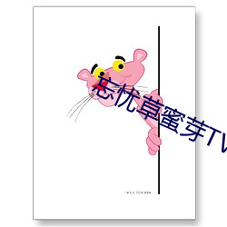 忘忧草蜜芽TV