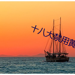 十八大禁用黄台app软件 （行刺）