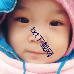 txt下载网