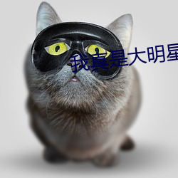 我真是大明星