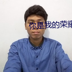 你是我的榮耀小說