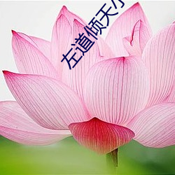 九游会登录j9入口 - 中国官方网站 | 真人游戏第一品牌
