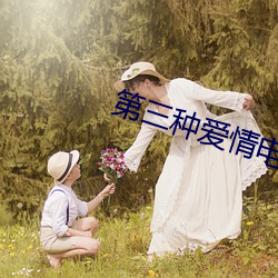 第三种爱情电影