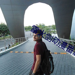 雷火剑动漫番剧 （依门傍户）
