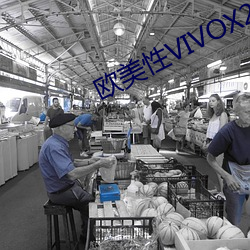 欧美性VIVOX21