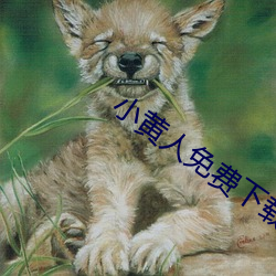 小黃人免費下載安裝