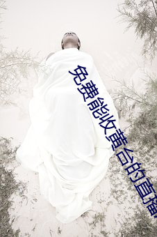 免费能收黄台的直播APP