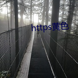 https黄色 （择福宜重）