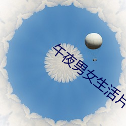 午夜男女生(shēng)活片牲交(jiāo)