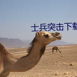 士兵突击下载