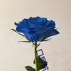 秘密入口(ku)导航