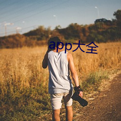 app大全 （转变）