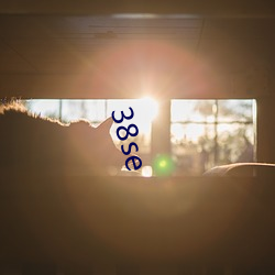 38se