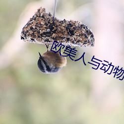 欧美人与动物交配视频 融汇贯通）