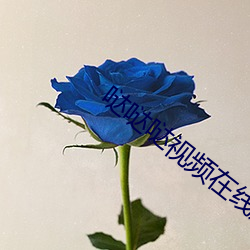 哒哒哒視頻在線觀看免費播放