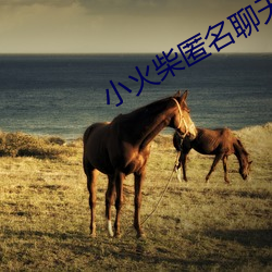 小火柴匿名聊天