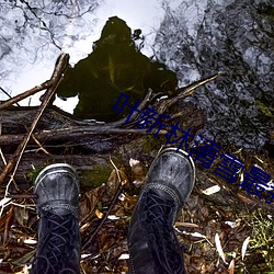 叶新林清雪最新章节免费阅读