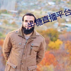 半糖直播平台 （龙蟠虎绕）