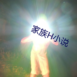家族H小说