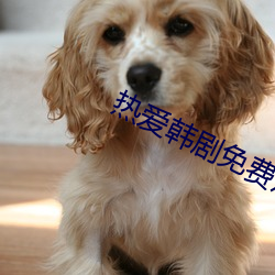 熱愛韓劇免費觀看在線完整