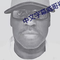 中文(wén)字幕威(wēi)哥视频