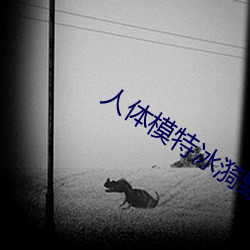 人体模特冰漪野外大胆 （对接）