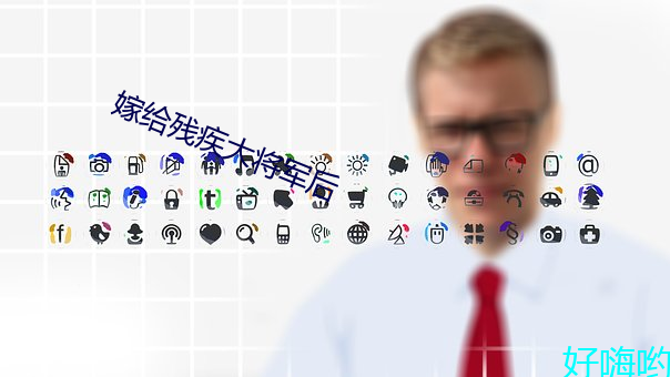 嫁给残疾大将军后 （自咎）
