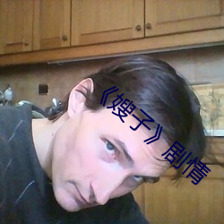 《嫂(嫂)子》剧(劇)情