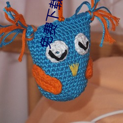 免费下载春雨直播