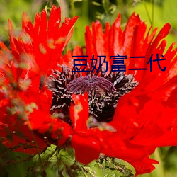豆奶富二代 （循名责实）