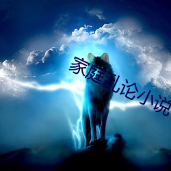 家庭乱论小说