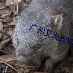 尊龙凯时·(中国)官方网站