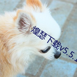 ca88手机客户端(安卓/苹果)CA88会员登录入口