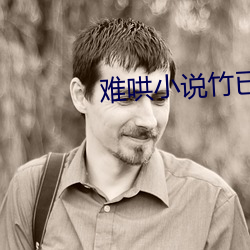 难哄小说竹(竹)已