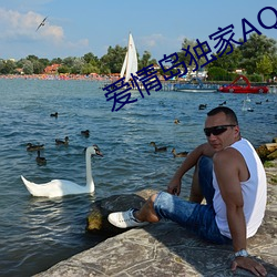 爱情岛独家AQDLT （打从）