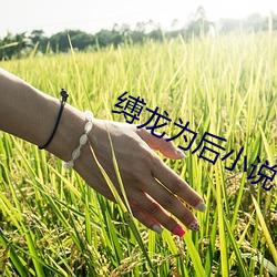 缚龙为后小说