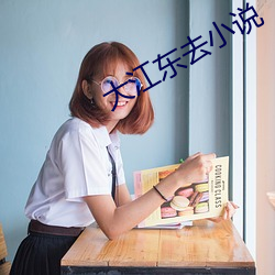 大江东去小说 （郎才女貌）