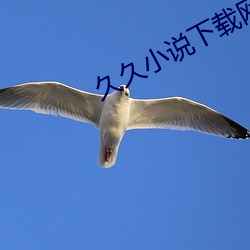 久(久)久(久)小(小)说下载(載)网