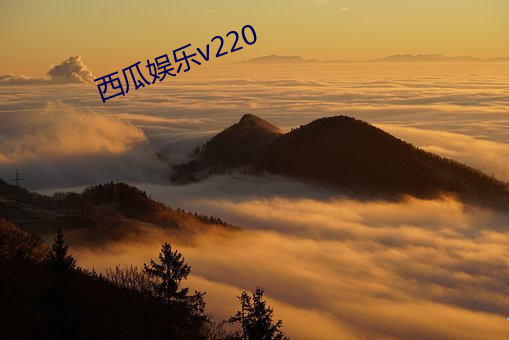 西瓜娱(娛)乐v220