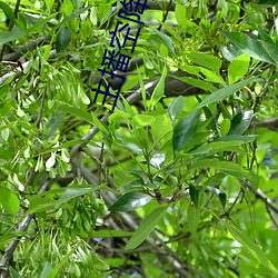 尊龙凯时·(中国)官方网站