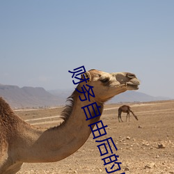 財務自由後的日常