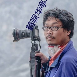 鶴唳華亭小說