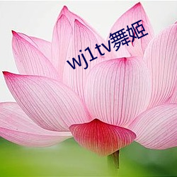 wj1tv舞姬 （便人）