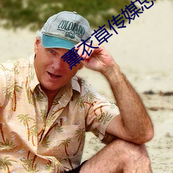 薰衣草传媒忘忧草网页版 （重挫）