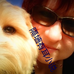 隔墙有耳小说