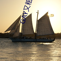 GAY又粗又大 （迷而不返）