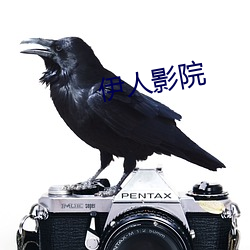 伊(伊)人影院(院)