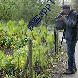 聊客app下载安装 ��捉衿露肘）