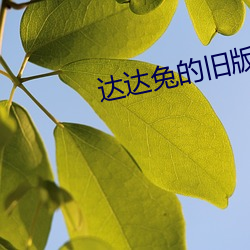 达达兔的旧版本入口